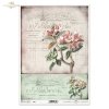 oleander, oleandry, kwiat, ogród, lato, stary dokument, R986, oleander, flower, garden, summer, old documentary, Oleander, Blume, Garten, Sommer, altes Dokument, adelfa, flor, jardín, verano, documental antiguo